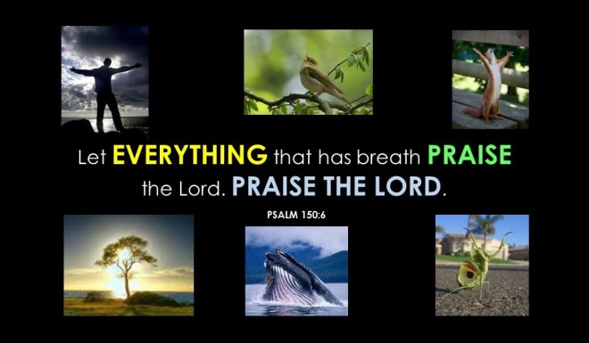 Everything Praise